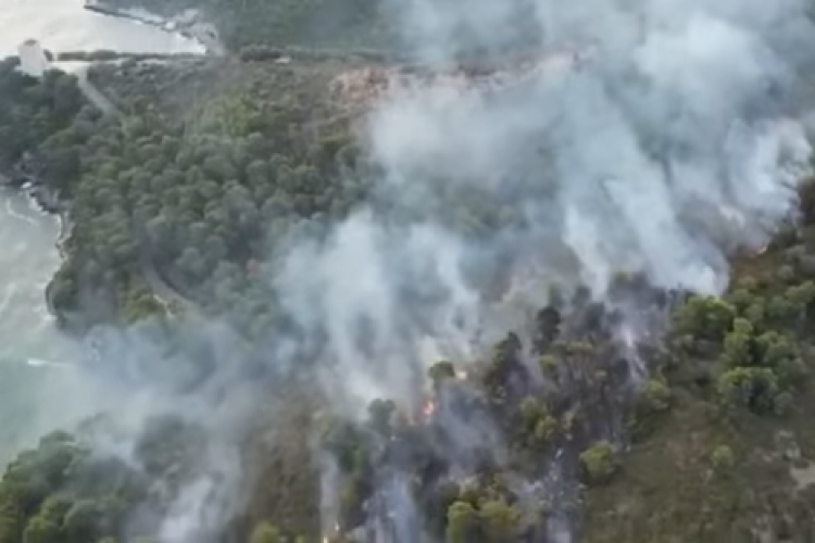 Orman yangını yayılırken turistler İtalyan tatil köyünden tahliye edildi