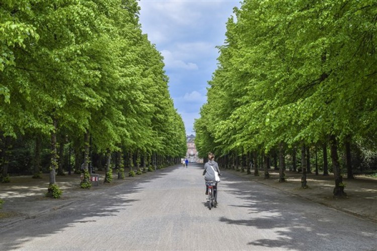 Rami'de Bilim Şenliği düzenlendi