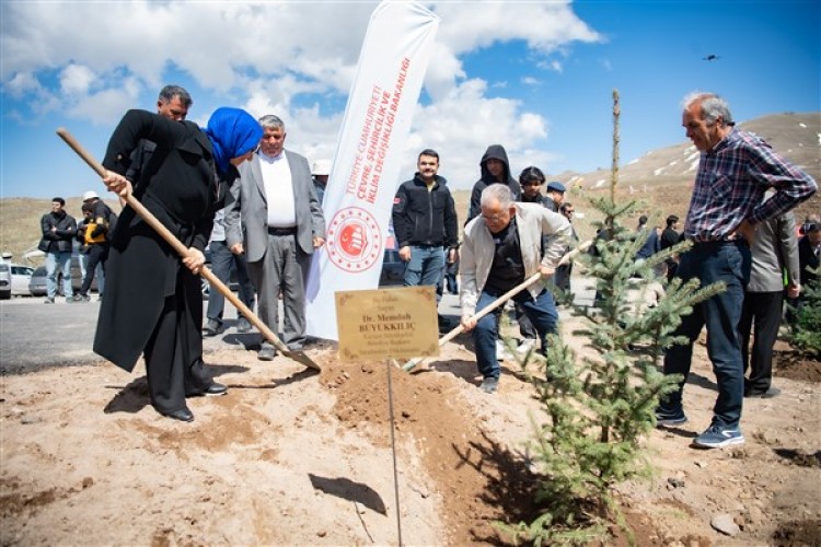 Kayseri'nin 3 farklı noktasında 271 bin 500 fidan toprakla buluştu