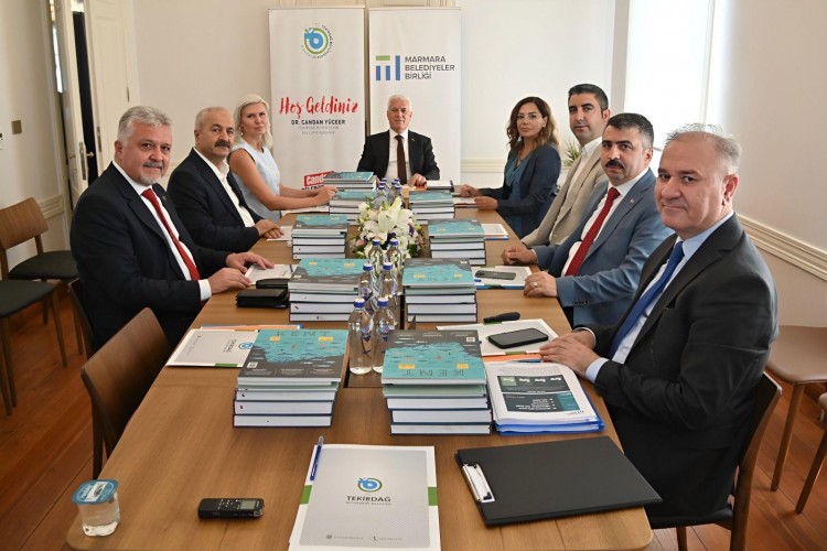 MBB'den sokak hayvanları raporu