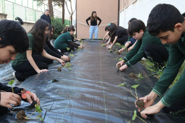 Nilüfer'de çocuklar çilek ve marul dikerek tarımla tanıştı