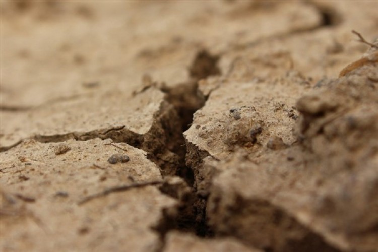 BM: Güney Etiyopya'da toprak kaymalarında 250'den fazla kişi hayatını kaybetti