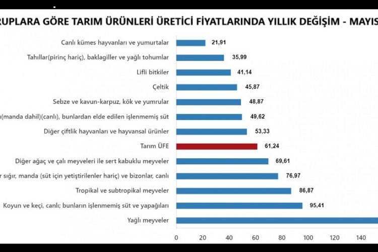 Tarım ürünleri üretici fiyatları Mayıs'ta yıllık yüzde 61,24 yükseldi
