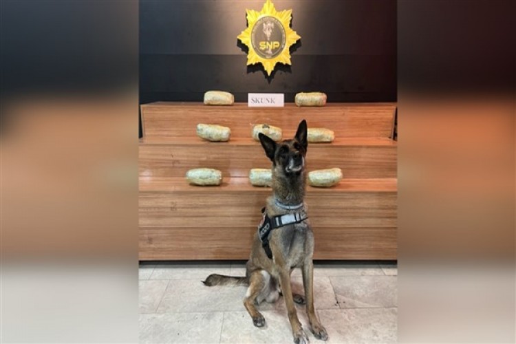 Şanlıurfa'da uyuşturucu operasyonu