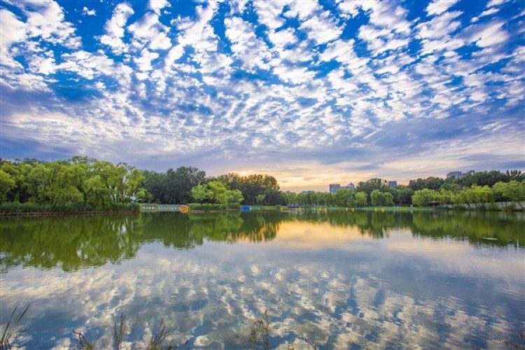 Çin'in 2023 çevre koruma karnesi yayınlandı