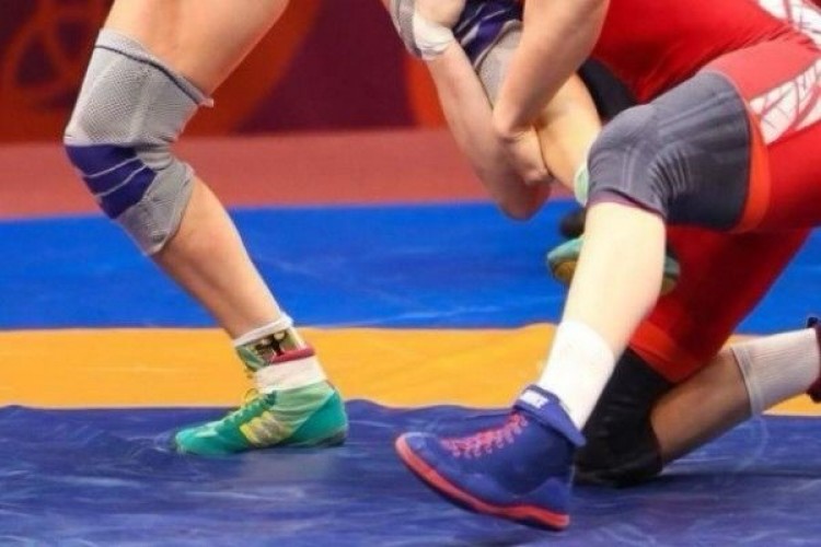 Milli güreşçi Adar'dan Paris kotası