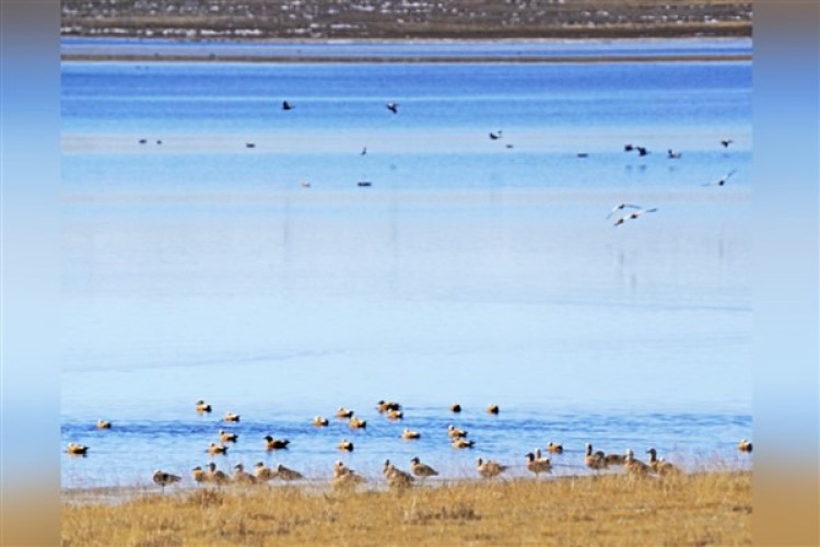 Karlı platonun güzel tablosu