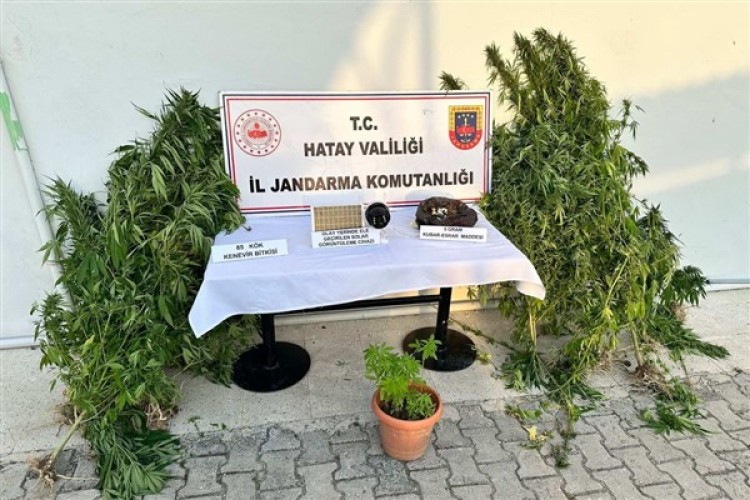 Hatay'da uyuşturucu ve kaçakçılık operasyonu