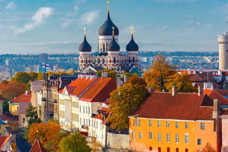 Estonya'da 7 günlük eğitim kursu