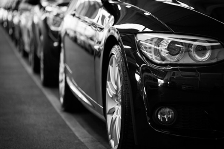 LDR Turizm'in şubat ayı araç yatırımı