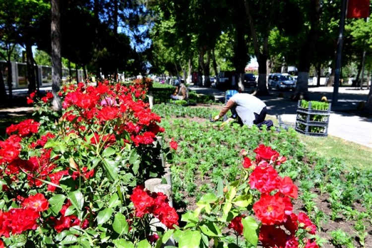 Malatya'da park ve yeşil alanlarda peyzaj çalışmaları sürdürülüyor