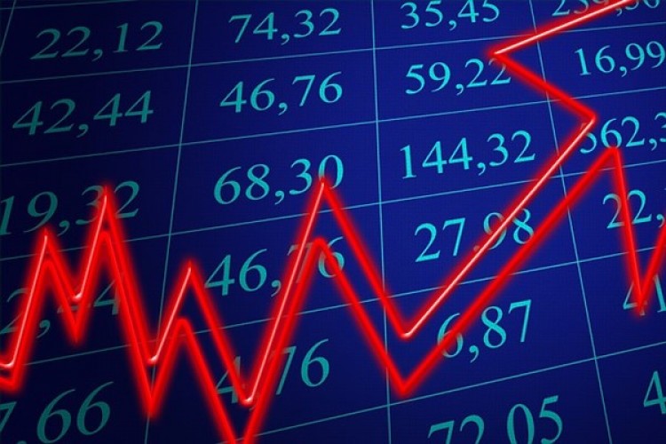 BİST şirketleri veri bankası 22.01.2024