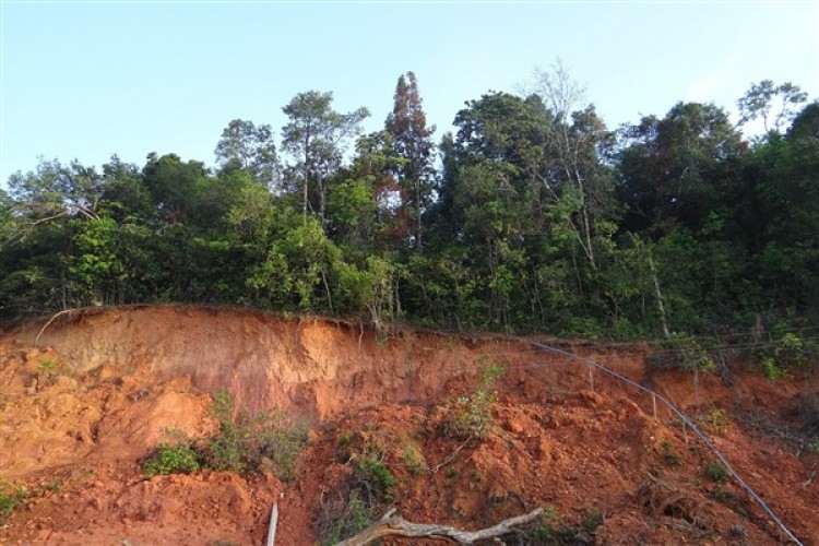 Erzincan'daki toprak kaymasıyla ilgili soruşturma başlatıldı