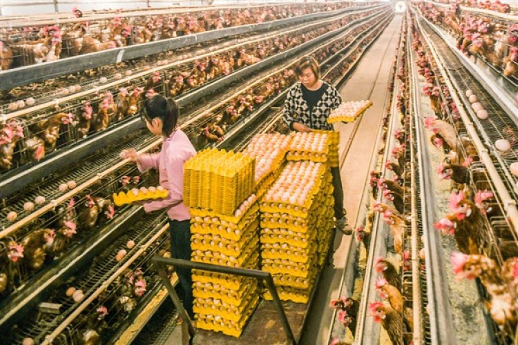 Çin'in vadeli işlemler hacmi yüzde 4,93 arttı