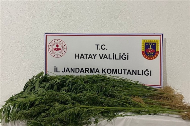 Hatay'da uyuşturucu ve kaçakçılık operasyonu