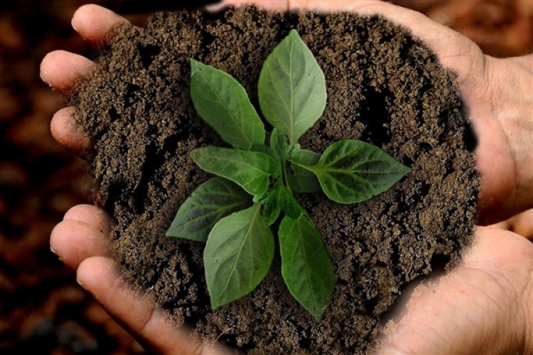 Sürdürülebilirlik Yılı, 2024'ü kapsayacak şekilde uzatıldı