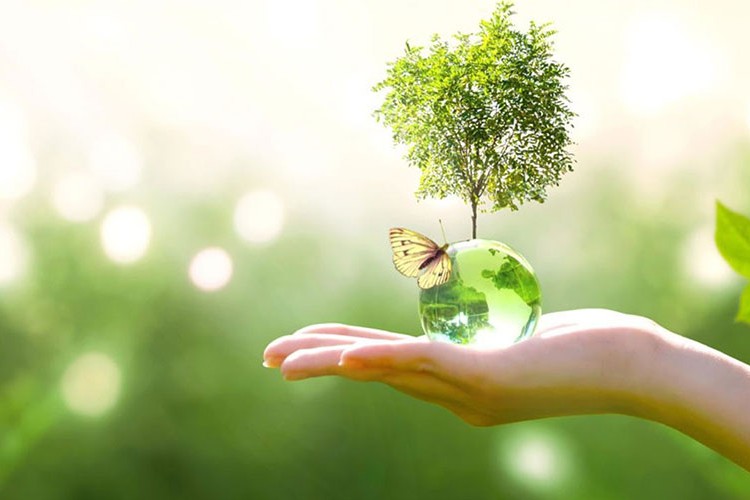 Watsons sürdürülebilirlik ve inovasyon zirvesi 19-20 Ekim'de