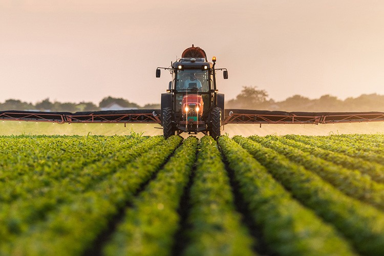 Tarımda ÜFE arttı