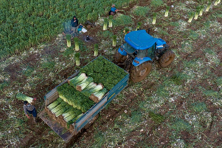 İzmir'de yağışlar yüz güldürdü