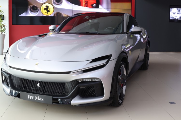 'Purosangue' FerMas'ta sergileniyor