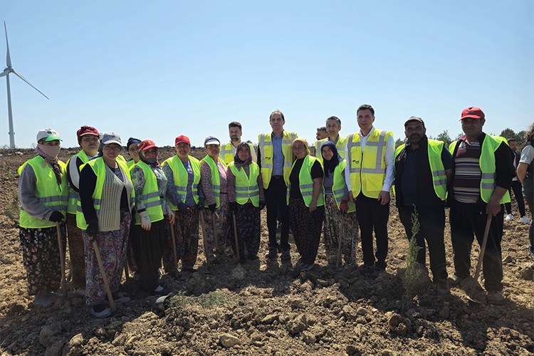Çanakkale'de 100 bin fidanlık "enerji ormanı" oluşturuluyor