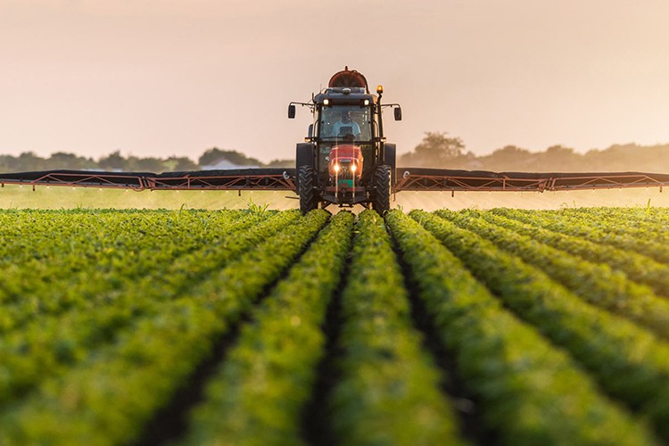 Tarımda ilk çeyrek ihracat rekoru kırıldı