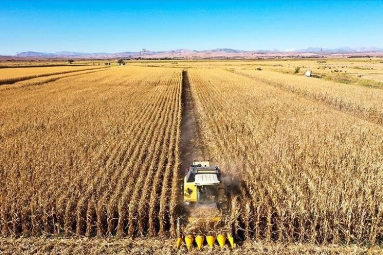 Tarım sektöründen ihracatta ilk yarı rekoru