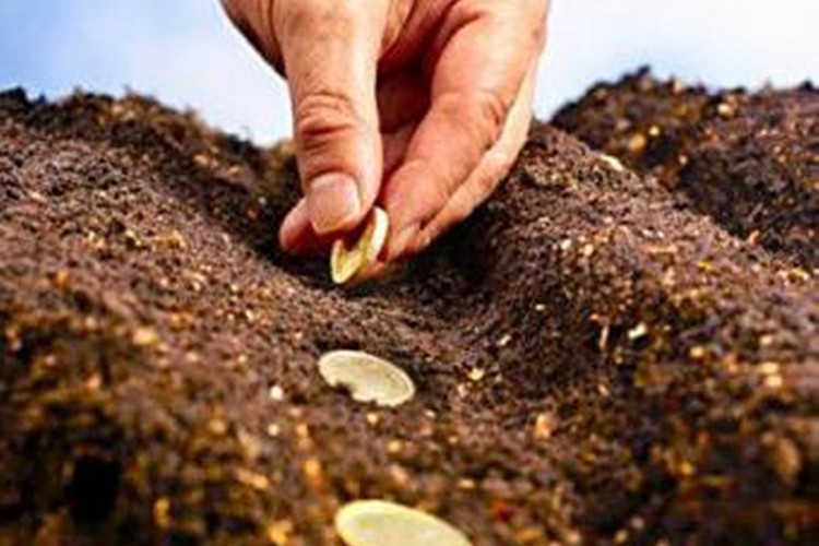 Tarım girişimcilerine destek