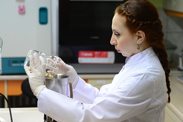 Fındığın cipsi üretildi