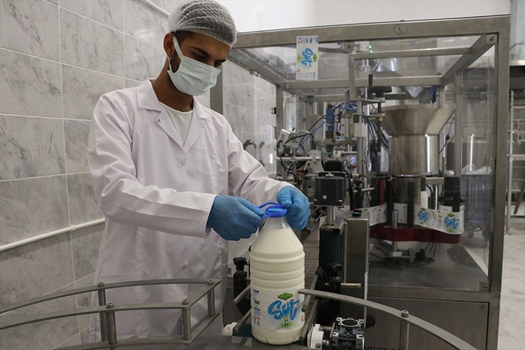 Belediyenin süt işleme tesisi üreticilere kazandırıyor