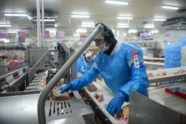 Hedef Çin'e ihracat