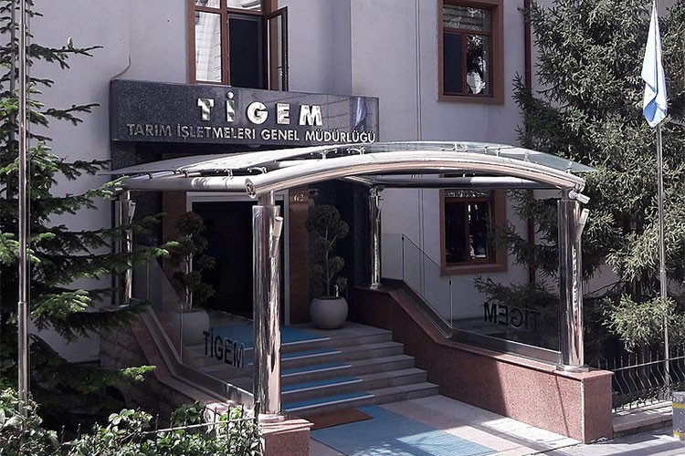 TİGEM 69 ziraat mühendisi istihdam edecek