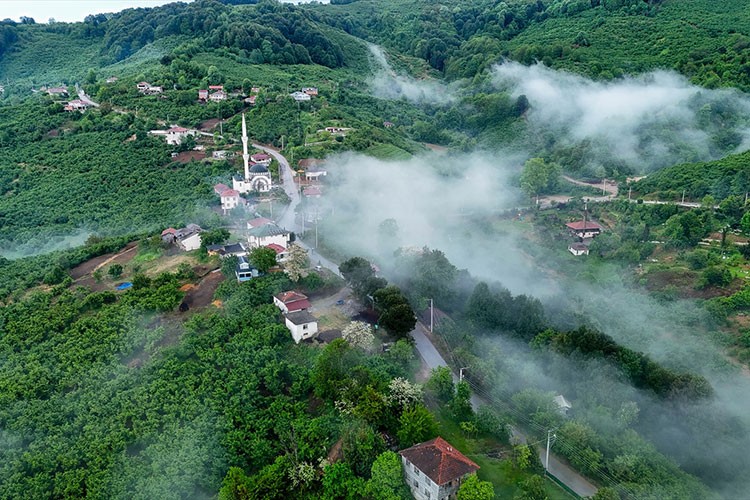 Düzce'de köylerin üzerini kaplayan sis denizi havadan görüntülendi