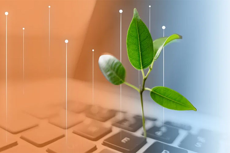 Billgy, enerji maliyetlerini teknolojiyle yönetiyor