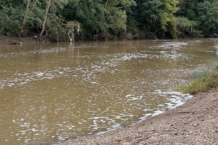Bartın Irmağı'ndaki köpürmeyle ilgili inceleme başlatıldı