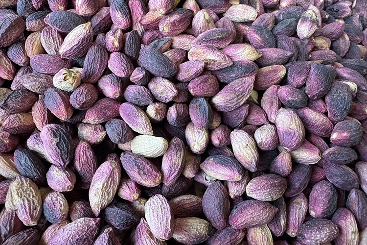 Geçen yıl 178 milyon dolarlık Antep fıstığı ihraç edildi