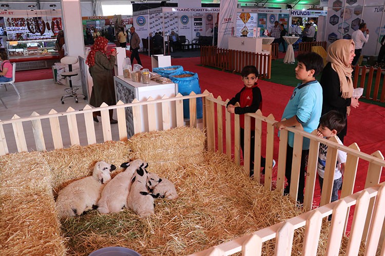 Tarım Fuarı doldu taştı