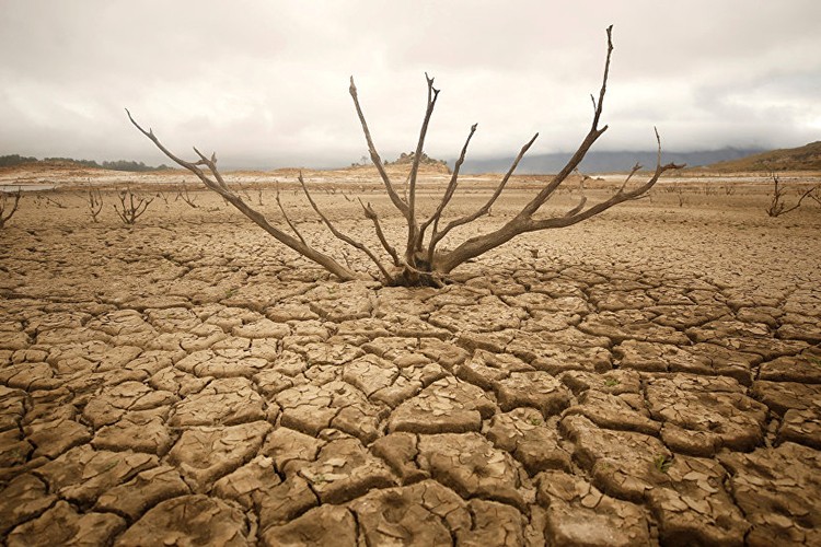 Türkiye 32. sırada