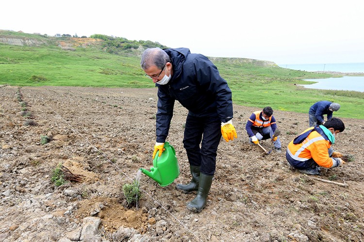 Eyüpsultan lavanta cenneti oluyor