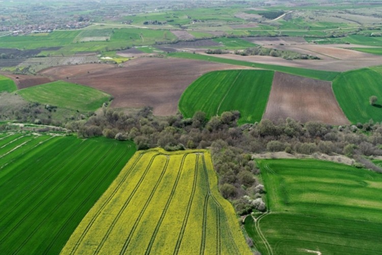 Dijitalleşme ve sürdürülebilirlik arsa yatırımlarını şekillendiriyor