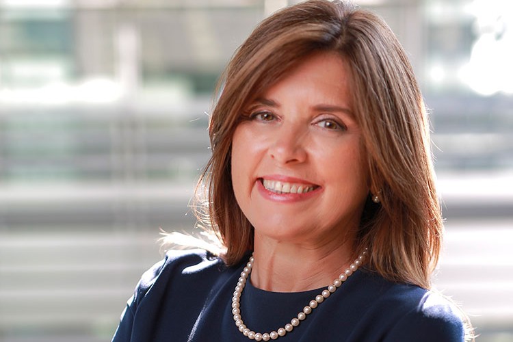 Mentorluk ve geliştirme programı başlıyor