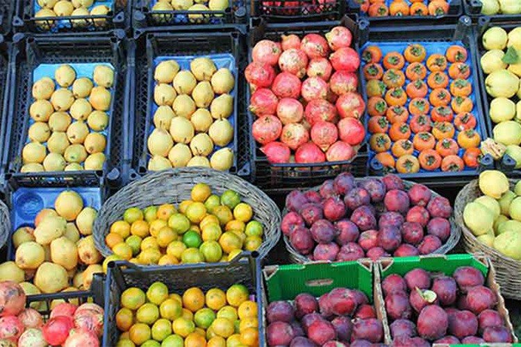 Tarım sektöründen ihracatta ocak-eylül rekoru