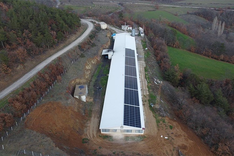 Tavuk çiftliği elektriğini güneş santralinden sağlıyor