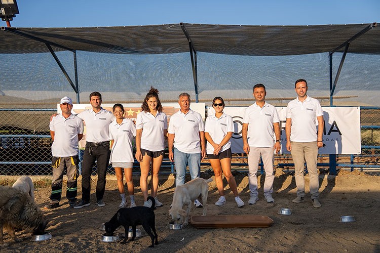 Sokak hayvanlarına '5 yıldızlı' barınak