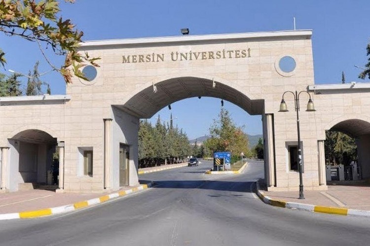 Akademisyen alınacak