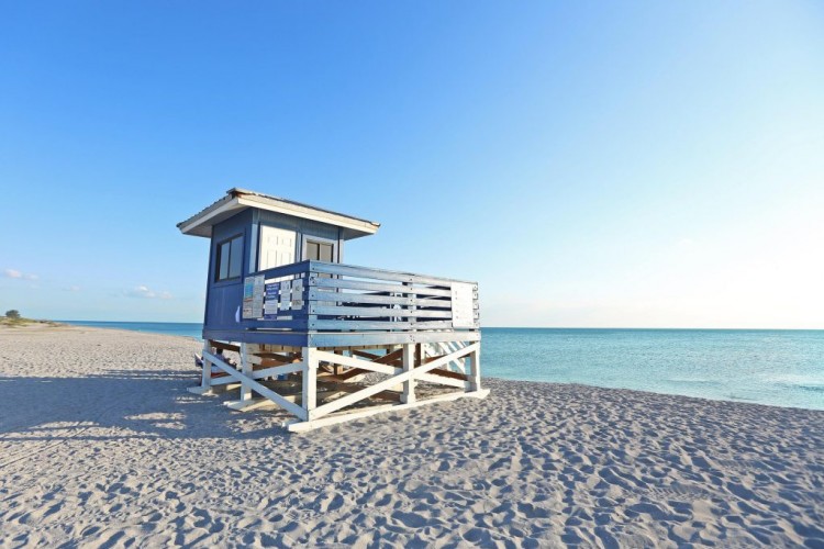 Venice Beach: Pasifik'in kalbinde bir yaz rüyası