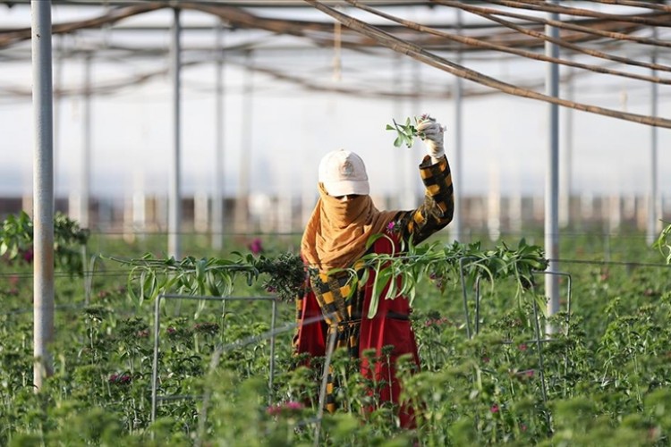 Antalya'da çiftçiler karbon ayak izini hesaplıyor