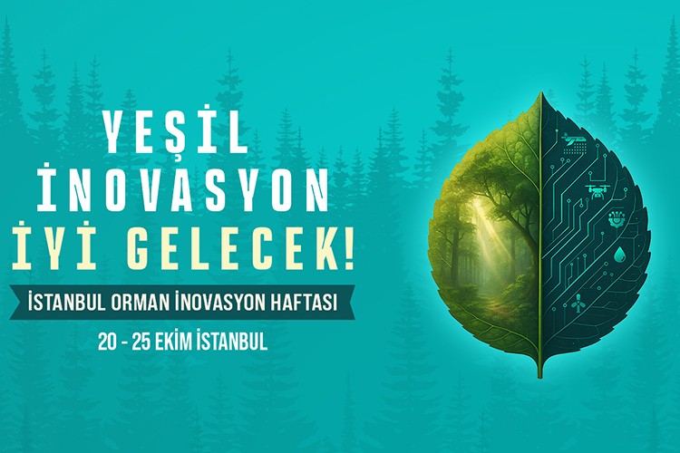 Dünya ormancılığının geleceği İstanbul'da konuşulacak