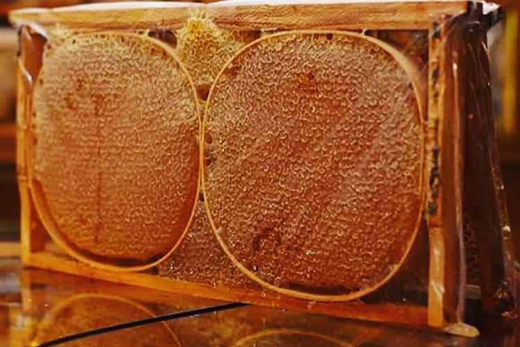 18 milyon dolarlık gelir