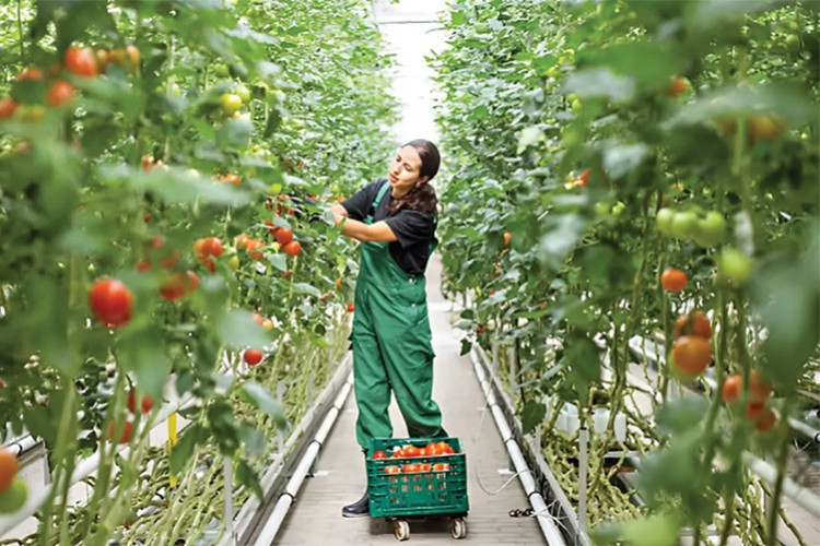Sera OSB'ler jeotermal kaynaklarla bütünleşmeli